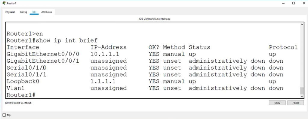 BGP configuration and circles with info with it